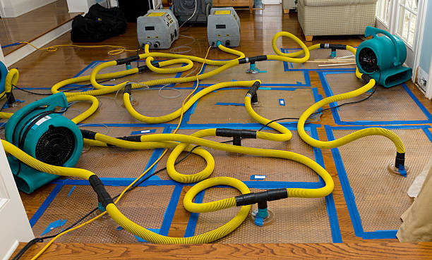 Professional Basement Flood Cleanup technician working in Dresser, WI